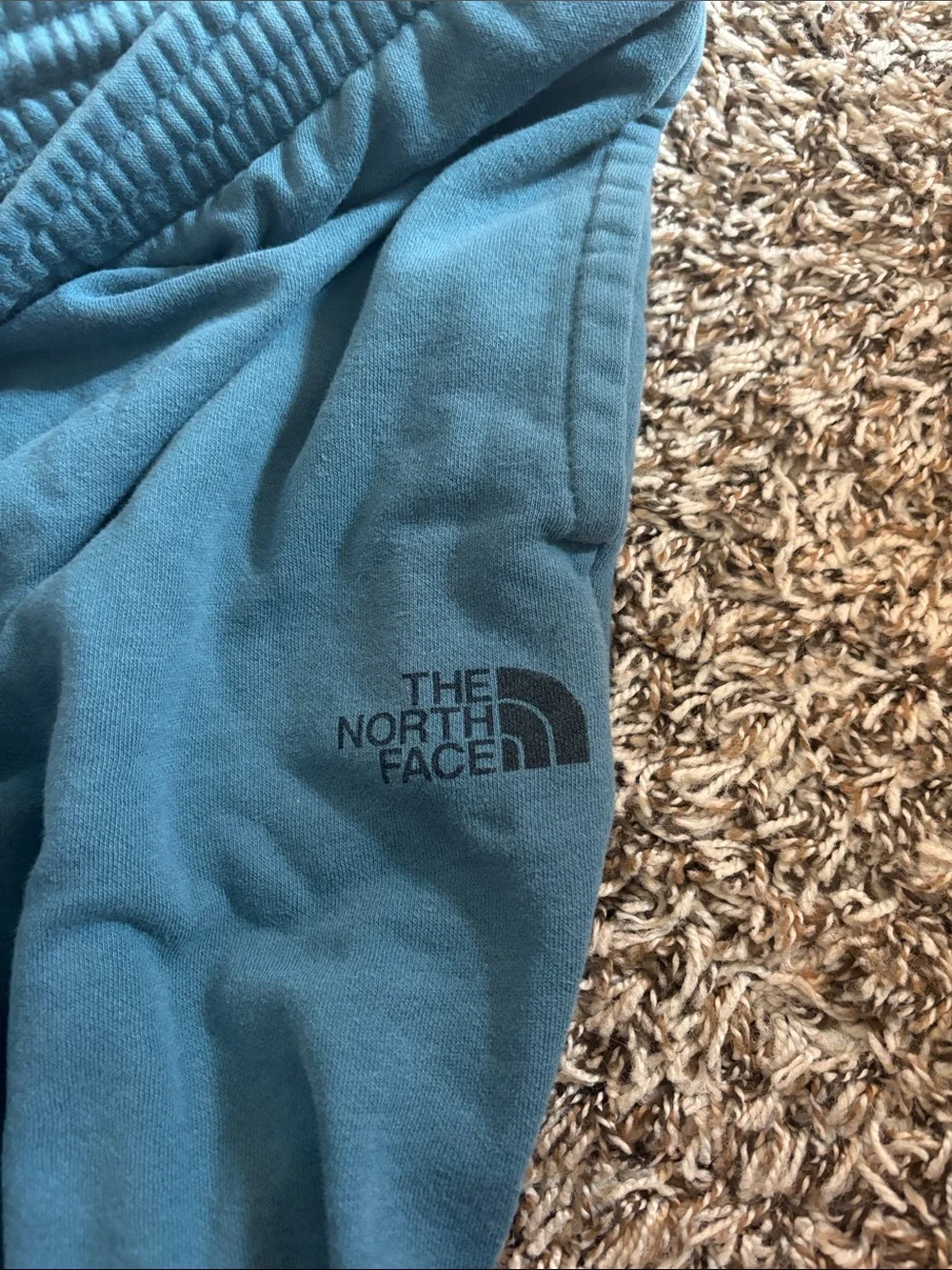 The North Face Men's Teal Jogger Sweatpants